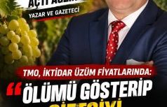 TMO, İKTİDAR ÜZÜM FİYATLARINDA: ÖLÜMÜ GÖSTERİP ÇİFTÇİYİ SITMAYA RAZI EDİYOR!!!