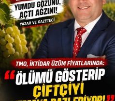 TMO, İKTİDAR ÜZÜM FİYATLARINDA: ÖLÜMÜ GÖSTERİP ÇİFTÇİYİ SITMAYA RAZI EDİYOR!!!