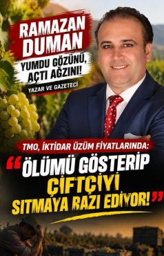TMO, İKTİDAR ÜZÜM FİYATLARINDA: ÖLÜMÜ GÖSTERİP ÇİFTÇİYİ SITMAYA RAZI EDİYOR!!!