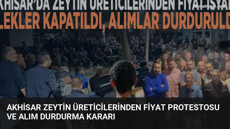 Akhisar Zeytin Üreticilerinden Fiyat Protestosu ve Alım Durdurma Kararı